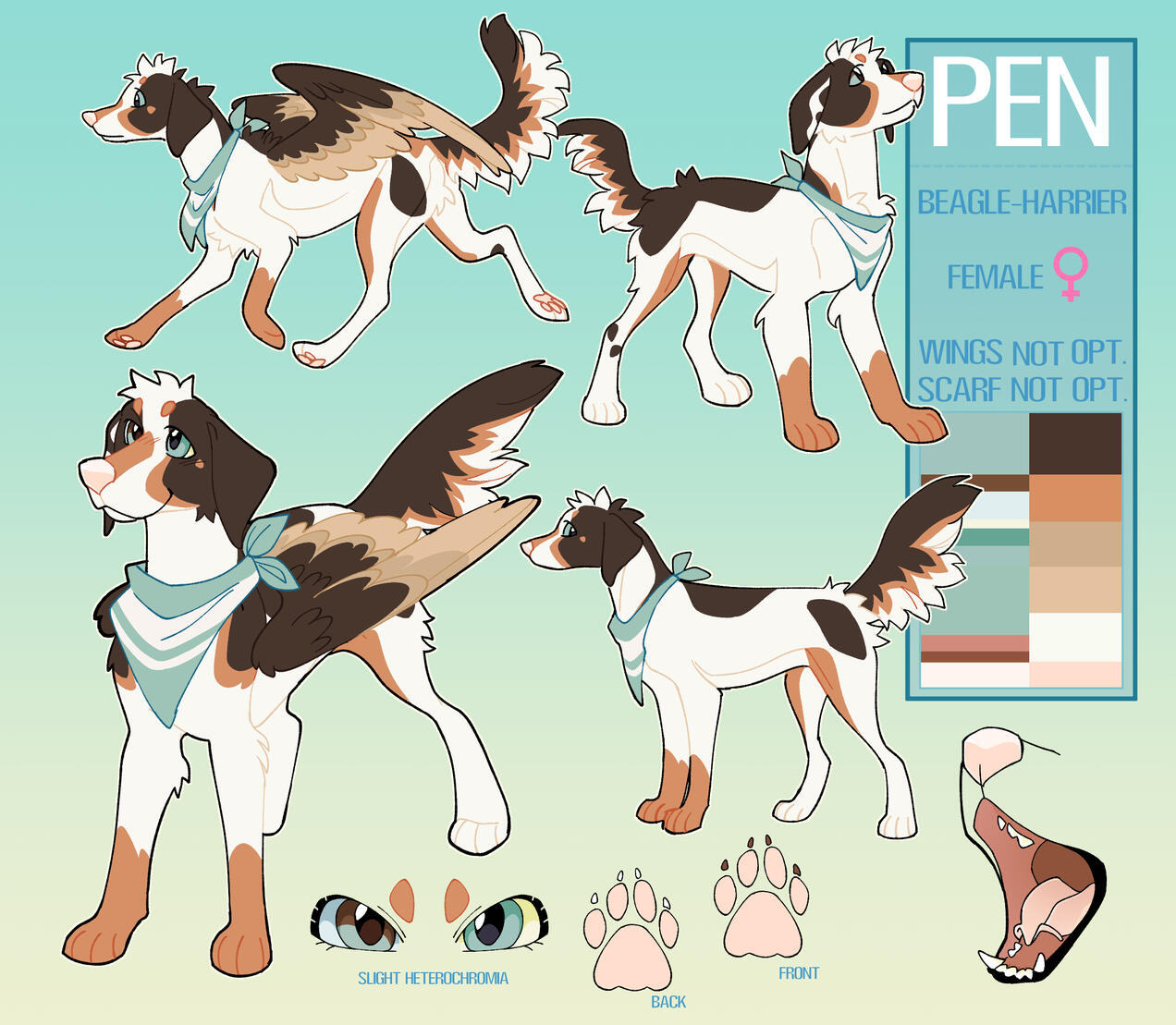 Detailed Reference Sheet - No Headshots