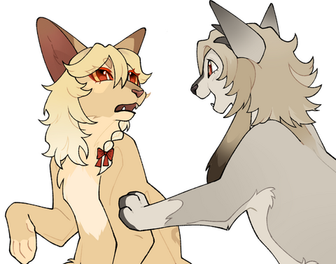 Flat . Fullbody | Couple Portrait