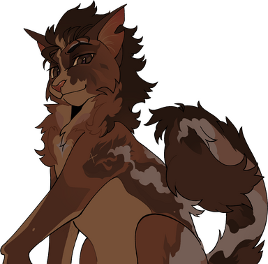 Flat . Halfbody