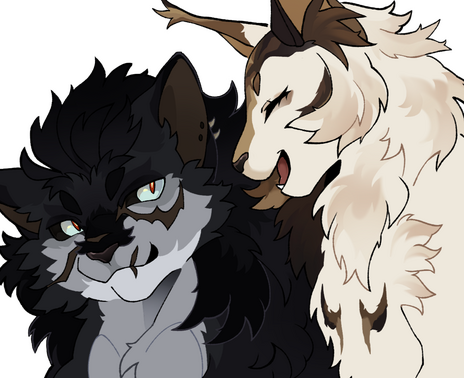 Flat . Headshot | Couple Portrait