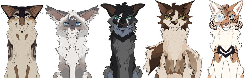 Flat . Halfbody | Symmetrical Batch