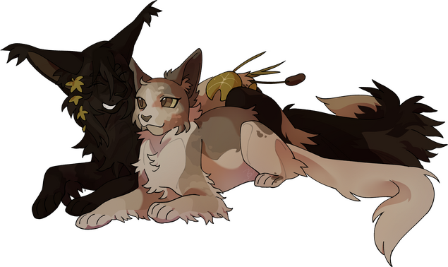 Shaded . Fullbody | Couple Portrait